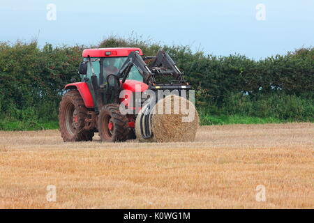 Un contadino raccoglie il suo giro le balle di paglia da un campo con la sua appositamente adattato il trattore con una struttura di pinza per il prelievo della enorme balle e farli ruotare. Foto Stock