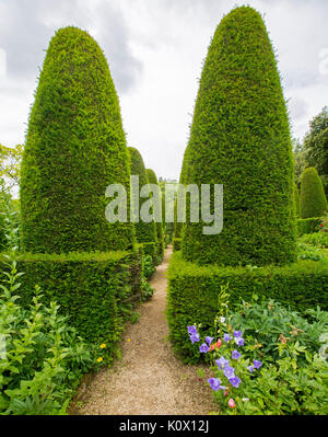 Giardino inglese con fila di alta forma conica topiaria da siepi di Yew accanto al verde smeraldo del prato e percorsi di puro Foto Stock