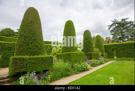 Giardino inglese con fila di alta forma conica topiaria da siepi di Yew accanto al verde smeraldo del prato e percorsi di puro Foto Stock