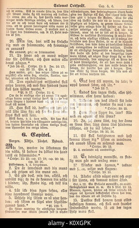 Una pagina di Biblia Fjellstedt II (1890), una pubblicazione storica della Bibbia, probabilmente incentrata su testi religiosi della fine del XIX secolo. Foto Stock