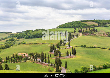 Monticchiello nel paesaggio della Val d'Orcia, Toscana, Italia Foto Stock