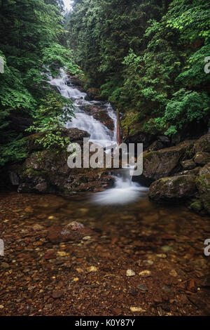 Rissloch cascata di Bodenmais, Parco Nazionale della Foresta Bavarese, Baviera, Germania Foto Stock