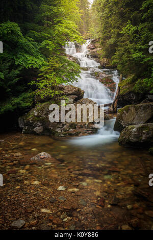 Rissloch cascata di Bodenmais, Parco Nazionale della Foresta Bavarese, Baviera, Germania Foto Stock