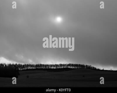 Moody sole nel cielo nuvoloso sopra alberate colline Cheviot ridge, Bowmont Valley, vicino a Kirknewton, Northumberland. Foto Stock