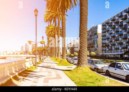 Sul marciapiede La Marina terrapieno in Vina del Mar, Cile Foto Stock