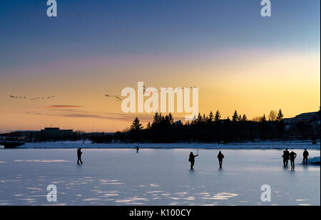 Inverno, Reykjavik laghetto congelato, Islanda Foto Stock