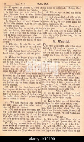 Biblia Fjellstedt II (1890) 832 Foto Stock