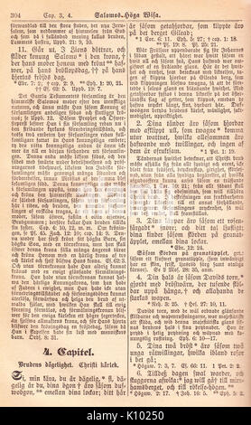 *Biblia Fjellstedt II* è un'edizione storica della Bibbia, pubblicata nel 1890. L'opera è nota per il suo significato accademico e il commento dettagliato fornito da Fjellstedt. Questo volume offre approfondimenti sulla storia religiosa e l'analisi testuale dei temi biblici. Foto Stock