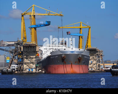 Gloria angelica IMO 9261798 Callsign SVCT, Vlothaven, porto di Amsterdam, pic3 Foto Stock