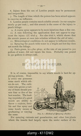 Relazione annuale della Stazione di Esperimento Agricola (pagina 39) BHL2942831 Foto Stock