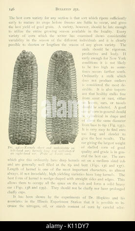 Relazione annuale della Cornell University Stazione di Esperimento Agricola, Itaca, N.Y (pagina 146) BHL5418576 Foto Stock