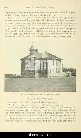 Relazione annuale della Cornell University Stazione di Esperimento Agricola, Itaca, N.Y (pagina 640) BHL5418927 Foto Stock