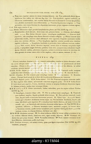 Anatome testudinis Europaeae (pagina 150) BHL2969592 Foto Stock