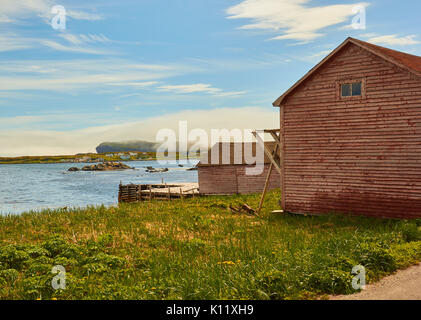 Cabine di legno a bordo d'acqua nella comunità costiere a punta della Grande Penisola Settentrionale, Terranova, Canada Foto Stock