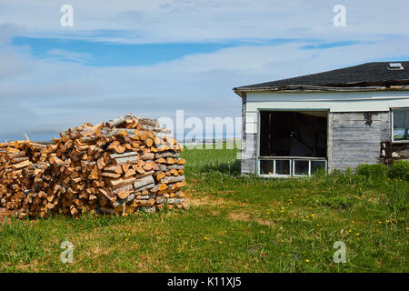 Pila di tronchi accanto alla casa abbandonata dall'Oceano Atlantico, Terranova, Canada Foto Stock