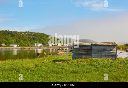 San Lunaire-Griquet presso la punta settentrionale della Grande Penisola Settentrionale, Terranova, Canada Foto Stock