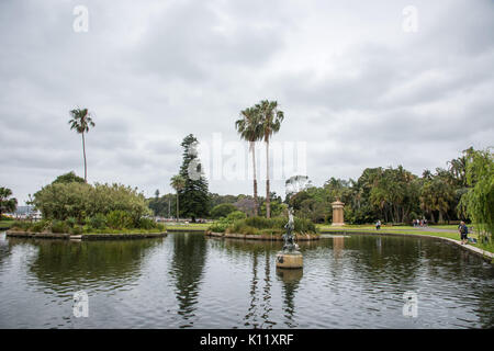 SYDNEY,NSW, Australia-NOVEMBRE 19,2016: stagno principale presso il Royal Botanic Gardens di Sydney, Australia. Foto Stock