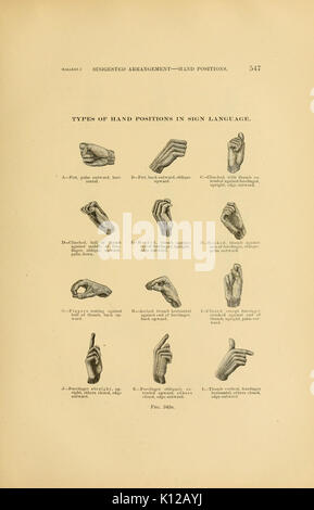 Relazione annuale dell'Ufficio di presidenza di Etnologia al Segretario dello Smithsonian Institution (pagina 547) BHL26500145 Foto Stock
