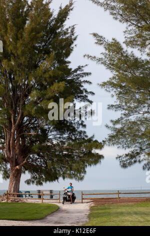 Un uomo di parcheggio su una moto ad un vicino alla spiaggia con pini australiano sulla baia di Tampa. Il sunshine skyway bridge è visto in background. Foto Stock