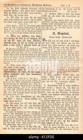 Biblia Fjellstedt II (1890) 742 Foto Stock