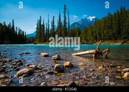 Il Fiume Bow vicino al Lago Louise, il Parco Nazionale di Banff, Alberta, Canada Foto Stock