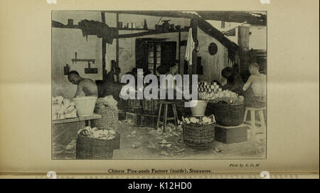Bollettino agricolo dello stretto e Federated Malay membri. Nuova serie BHL43583042 Foto Stock