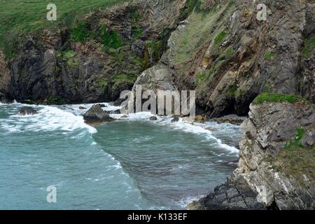 Pwllcrochan caletta rocciosa tra Porthgain Trefin e Il Pembrokeshire Coast National Park Galles Cymru REGNO UNITO GB Foto Stock