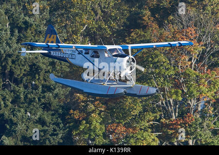 Un porto aria idrovolanti de Havilland Canada Beaver idrovolanti sul suo approccio alla terra. Foto Stock