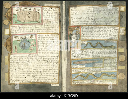 Adriaen Coenen's Visboeck KB 78 E 54 folio 298v (sinistra) e 299R (destra) Foto Stock