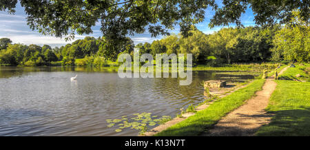 Hardwick Hall Estate, uno dei miei posti preferiti per sparare. Foto Stock