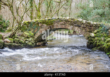 Packhorse ponte a sinistra Foto Stock