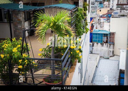 Terrazza sul tetto con piante tropicali a Saigon, Vietnam Foto Stock