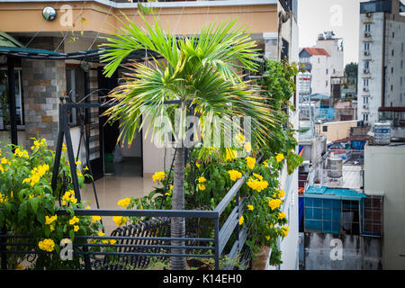 Terrazza sul tetto con piante tropicali a Saigon, Vietnam Foto Stock