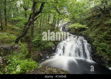 Rhaeadr Ddu cascate, Ganllwydd, Coed Ganllwydd Riserva Naturale Nazionale, Parco Nazionale di Snowdonia, Gwynedd, Wales, Regno Unito Foto Stock