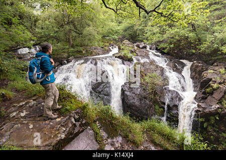 Donna walker a Rhaeadr Ddu cascate, Ganllwydd, Coed Ganllwydd Riserva Naturale Nazionale, Parco Nazionale di Snowdonia, Gwynedd, Wales, Regno Unito Foto Stock