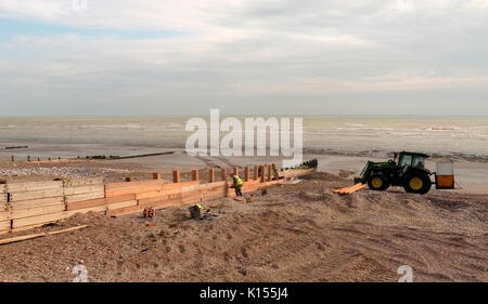 AJAXNETPHOTO. 2017. WORTHING, Inghilterra. - Riparazione e manutenzione - Rinnovo pesanti pannelli di legno su uno dei molti pennelli in legno sulla spiaggia cittadina. Foto:JONATHAN EASTLAND/AJAX REF:GR170406 5851 Foto Stock