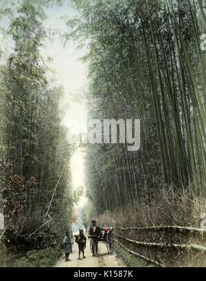 Una foto raffigurante un padre e due bambini che viaggiano attraverso un boschetto di bambù, il padre sta tirando una due ruote carrello riempito con averi, uno dei bambini porta anche beni sul loro retro, un recinto di paglia separa la strada sterrata dal bambù torreggianti, la cancellazione può essere visto dietro la famiglia, Kyoto, Giappone, 1894. Dalla Biblioteca Pubblica di New York. Foto Stock