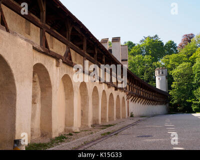 Città vecchia parete, St Alban, Basilea, Svizzera Foto Stock