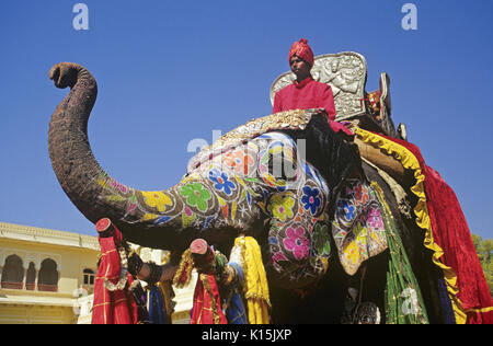 Decorate di elefante, Jaipur, Rajasthan, India Foto Stock