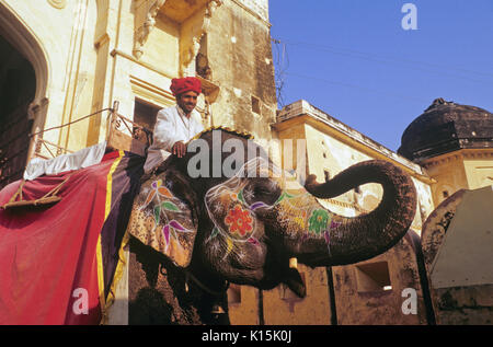 Decorate elefante a Amber (AMER) Fort, Amer, Rajasthan, India Foto Stock