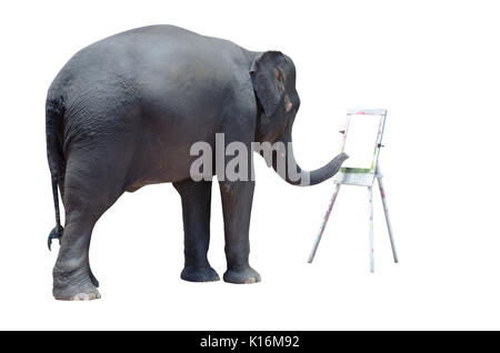 Elefante mostrano colorazione su uno sfondo bianco. Foto Stock