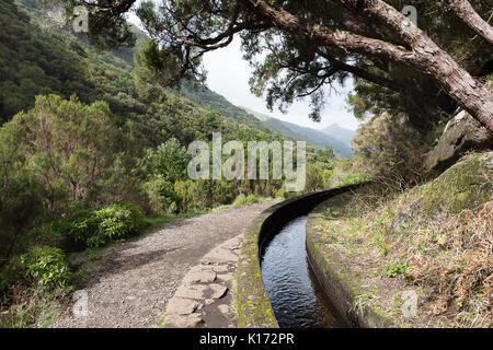 Levada 25 das Fontes (25 fontane), rabacal, isola di Madeira, Portogallo Foto Stock