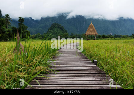 Campagna paesaggistica, percorso di legno in verde campo di riso in Vang Vieng, Laos Foto Stock