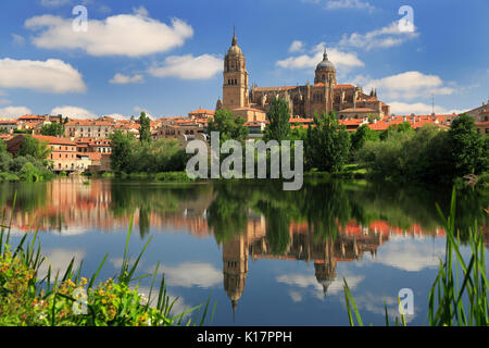 Salamanca vecchio e nuovo Cathedrales riflessa sul fiume Tormes, Spagna Foto Stock