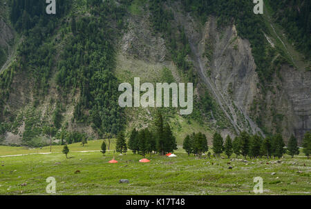 Tende a valle in Jammu e Kashmir, India. Valle del Kashmir è famoso per il suo splendido paesaggio montuoso. Foto Stock