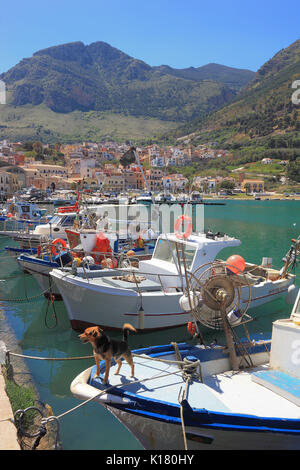 Sicilia, barche nel porto di pesca di Castellammare del Golfo, comune in provincia di Trapani Foto Stock