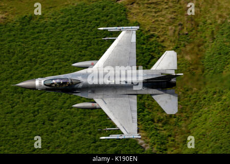 General Dynamics F-16C Fighting Falcon, 480th FS, 52nd FW, USAF in base a Spangdahlem in Germania, conducendo a basso livello di formazione di volo in LFA7 Galles Foto Stock