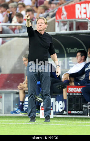 (170826) -- Colonia, agosto 26, 2017 (Xinhua) -- Amburgo's head coach Markus Gisdol reagisce durante la Bundesliga tedesca partita di calcio tra FC Colonia e Amburgo SV a Colonia, Germania ovest su agosto 25, 2017. Amburgo ha vinto 3-1. (Xinhua/Ulrich Hufnagel) Foto Stock