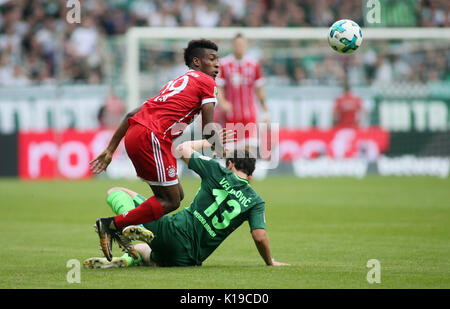 26.08.2017, Fussball 1.Liga 2017/2018, 2.Spieltag, SV Werder Bremen - FC Bayern MŸnchen im Bremer Weserstadion, Kingsley Coman (Bayern), Milos Veljkovic (Brema) Foto: Cronos/MIS Foto Stock