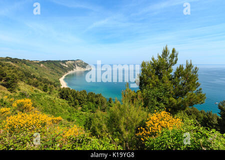 Estate Mare Adriatico bay e la fioritura Spiaggia La spiaggia di Mezzavalle vicino a Portonovo e la città di Ancona nella regione Marche. Italia Riviera del Conero. Persone u Foto Stock